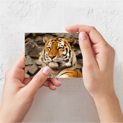 Поздравительная открытка Тигр - фото 2