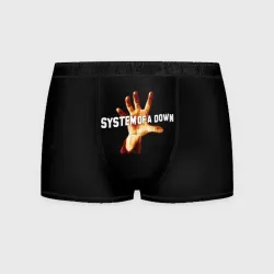 Мужские трусы 3D System of a down