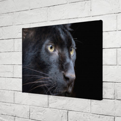 Холст прямоугольный Черная пантера - фото 2