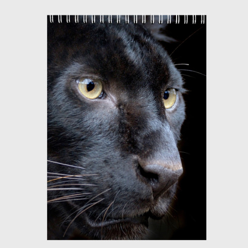 Скетчбук Черная пантера - купить по цене 510 руб в интернет-магазине  Всемайки, арт 1200058