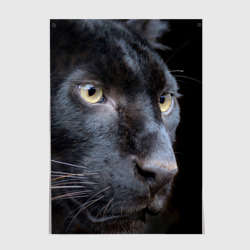 Постер Черная пантера
