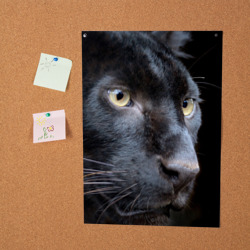 Постер Черная пантера - фото 2