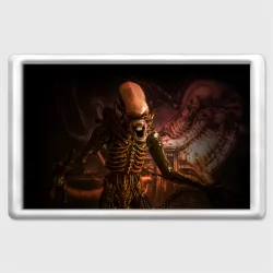 Магнит 45*70 Alien