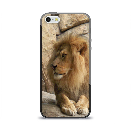 Чехол для iPhone 5/5S глянцевый Лев Фото 01 Чехол для iPhone 5/5S глянцевый Лев Фото 01