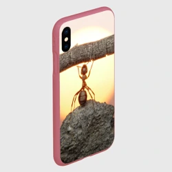 Чехол для iPhone XS Max матовый Муравей - фото 2