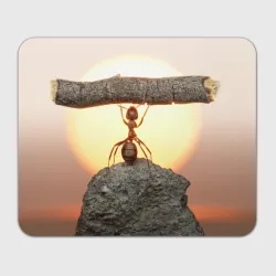 Прямоугольный коврик для мышки Муравей