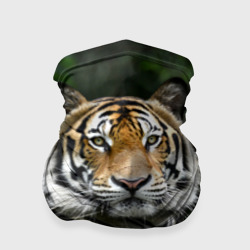 Бандана-труба 3D Тигр в джунглях