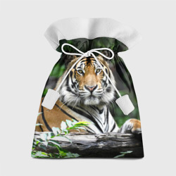 Подарочный 3D мешок Тигр в джунглях