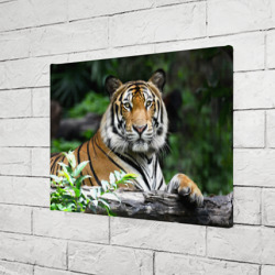 Холст прямоугольный Тигр в джунглях - фото 2