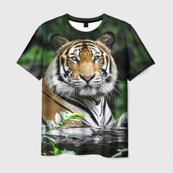 Мужская футболка 3D Тигр в джунглях
