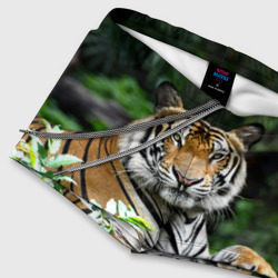 Плавки с принтом Тигр в джунглях для мужчины, вид на модели спереди №4. Цвет основы: белый