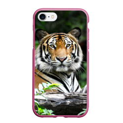 Чехол для iPhone 7/8 матовый Тигр в джунглях