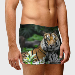 Трусы с принтом Тигр в джунглях для любого человека, вид спереди №2. Цвет основы: белый