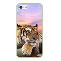 Чехол для iPhone 5/5S матовый Тигр