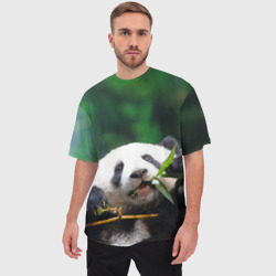 Мужская футболка oversize 3D Панда на ветке - фото 2