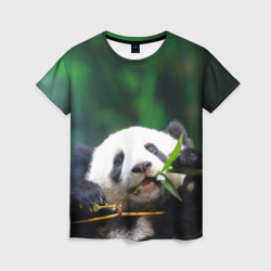 Женская футболка 3D Панда на ветке