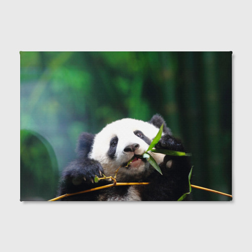 Холст прямоугольный Панда на ветке, цвет 3D печать - фото 2