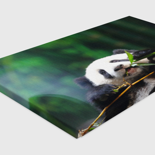 Холст прямоугольный Панда на ветке, цвет 3D печать - фото 4