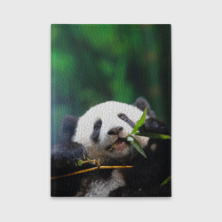 Обложка для автодокументов Панда на ветке