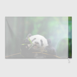 Флаг 3D Панда на ветке - фото 2