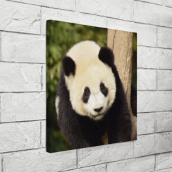 Холст квадратный Панда на дереве - фото 2