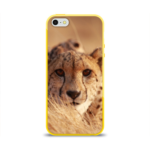 Чехол для iPhone 5/5S глянцевый Гепард Фото 01 Чехол для iPhone 5/5S глянцевый Гепард Фото 01