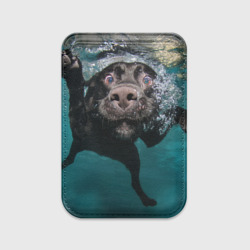 Картхолдер Magsafe магнитный Пес дайвер