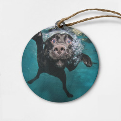 Деревянная игрушка круг Пес дайвер