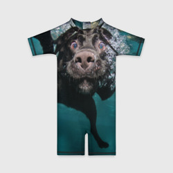 Детский купальный костюм 3D Пес дайвер