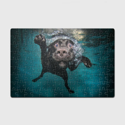 Головоломка Пазл магнитный 126 элементов Пес дайвер