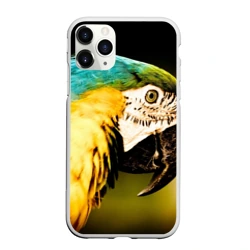 Чехол для iPhone 11 Pro Max матовый Попугай