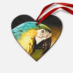 Деревянная игрушка Сердце Попугай