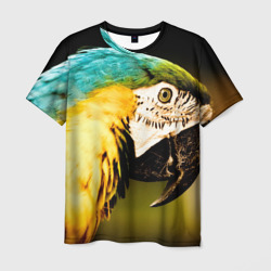 Мужская футболка 3D Попугай