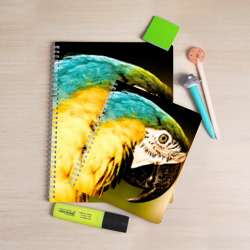 Тетрадь Попугай - фото 2