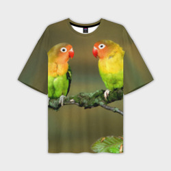 Мужская футболка oversize 3D Попугаи