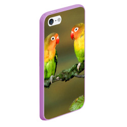 Чехол для iPhone 5/5S матовый Попугаи - фото 2