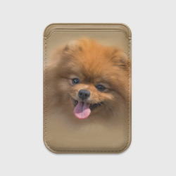 Картхолдер Magsafe магнитный Шпиц