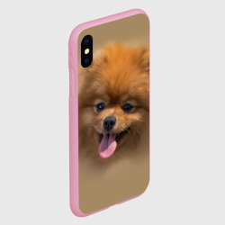 Чехол для iPhone XS Max матовый Шпиц - фото 2