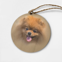 Деревянная игрушка круг Шпиц