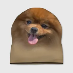 Шапка 3D Шпиц