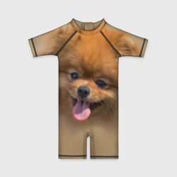 Детский купальный костюм 3D Шпиц