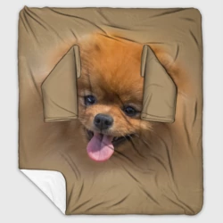 Плед с рукавами Шпиц