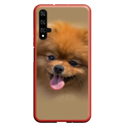 Чехол для Honor 20 Шпиц