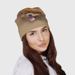 Шапка 3D Шпиц - фото 2