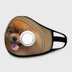 Маска из неопрена Шпиц