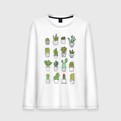 Мужской лонгслив хлопок Cactus