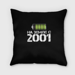 Подушка 3D На земле с 2001