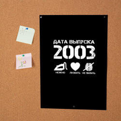Постер Дата выпуска 2003 - фото 2