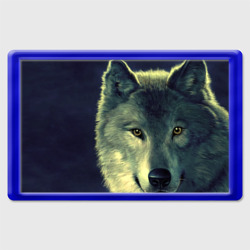 Магнит 45*70 Серый волк