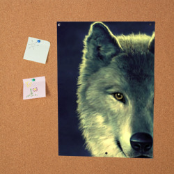 Постер Серый волк - фото 2